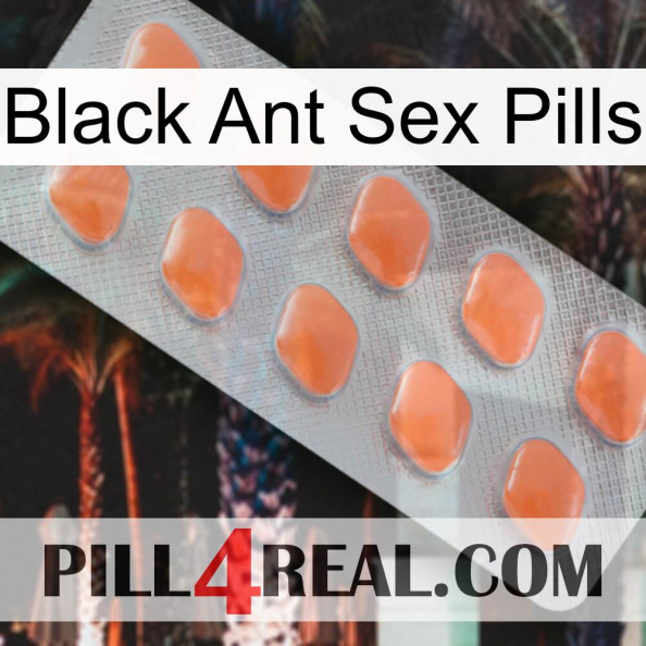 Black Ant Sex Pills 26.jpg